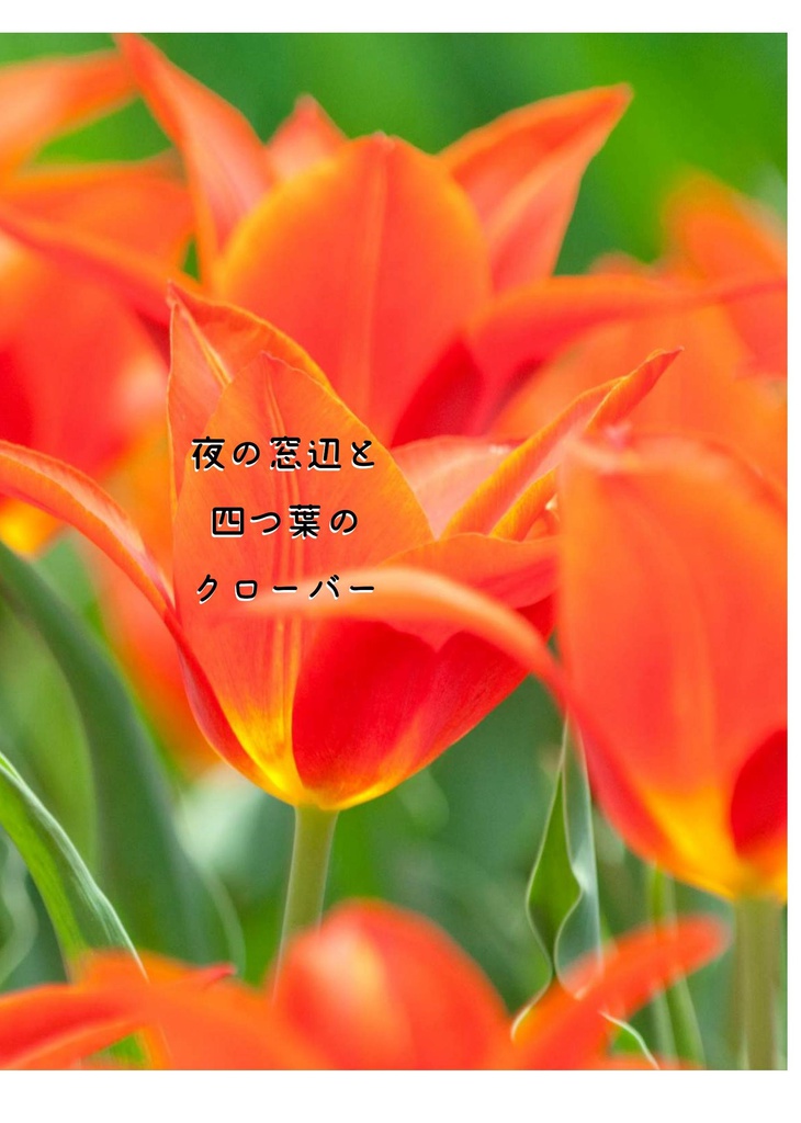 夜の窓辺と四つ葉のクローバー