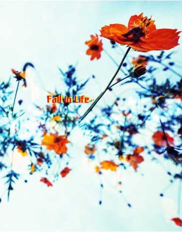 Fall in Life