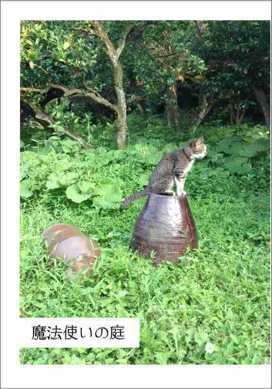 魔法使いの庭