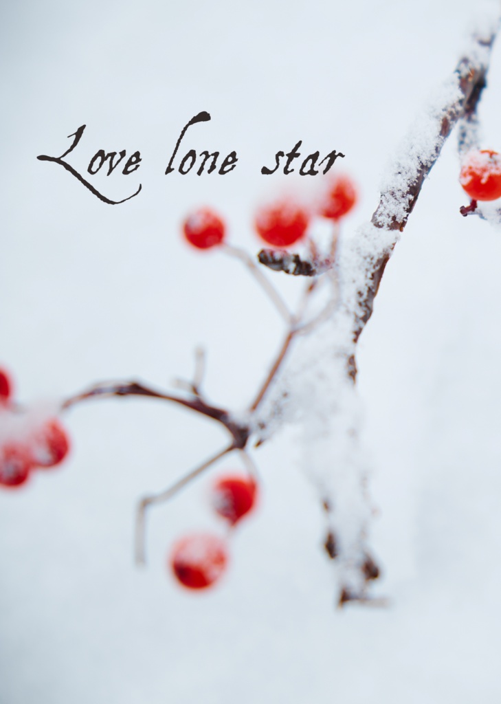 Love Lone star