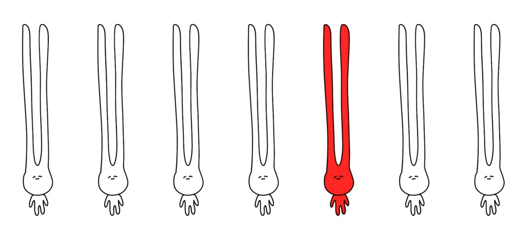 秘密組織『ラビリンス』