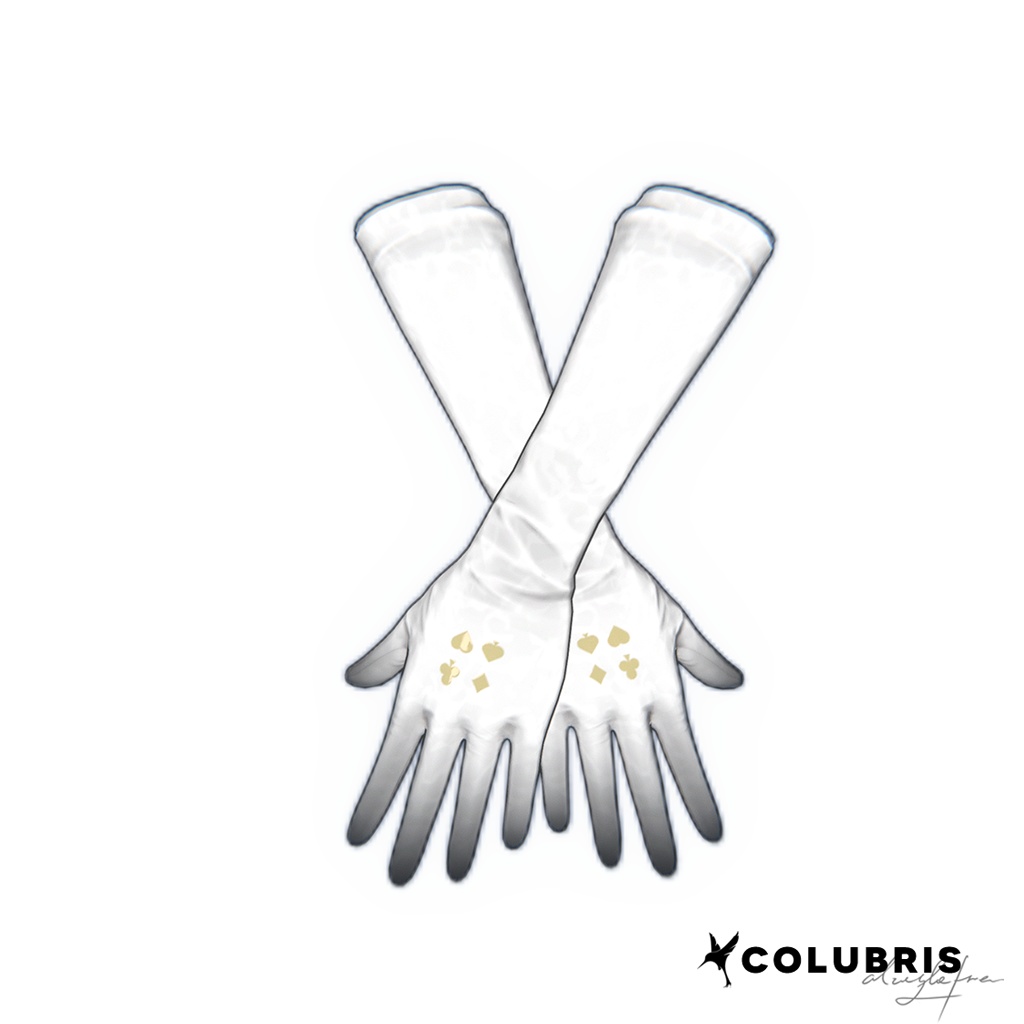 Glove -「Long Opera-length Gloves」For Grus/Lapwing