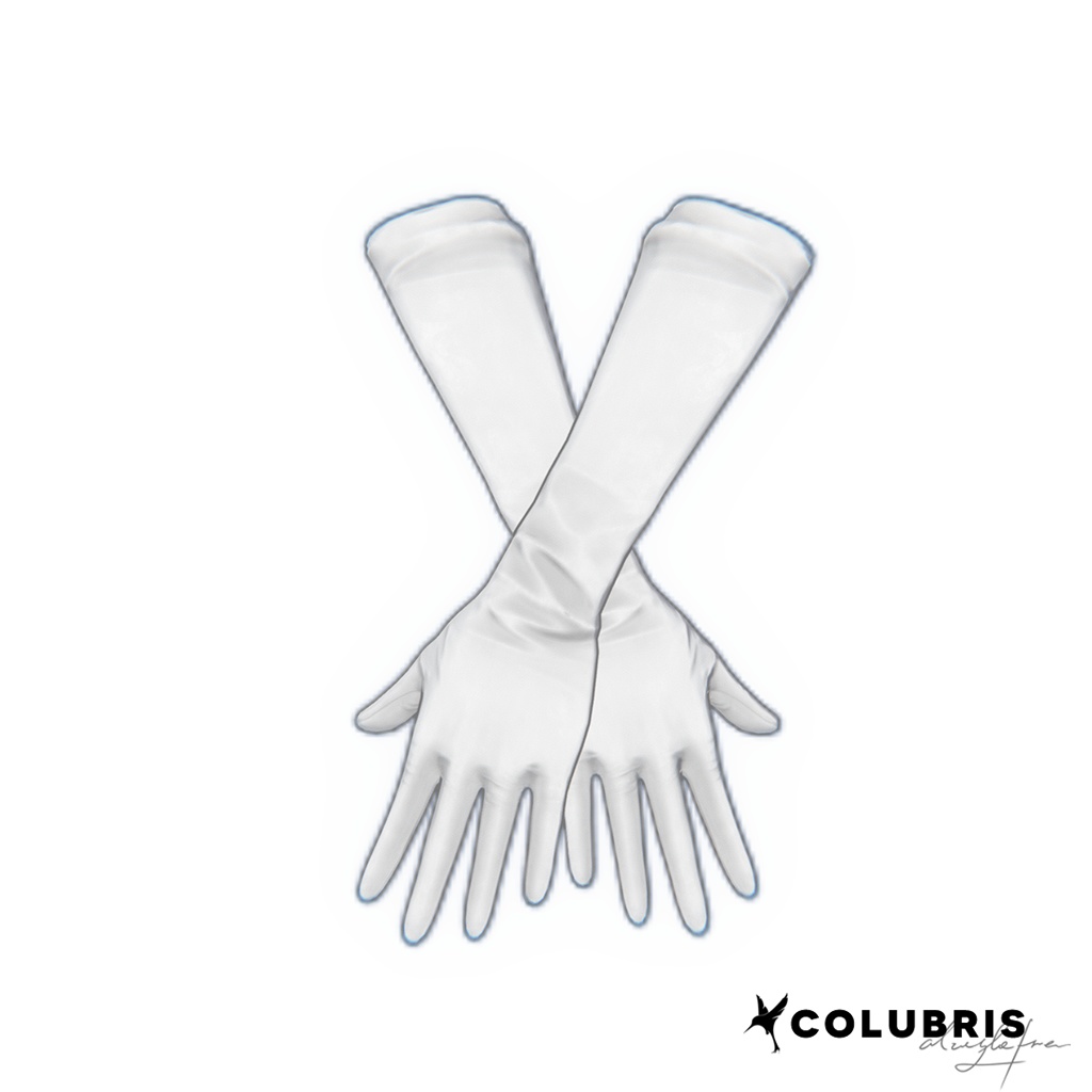 Glove -「Long Opera-length Gloves」For Grus/Lapwing