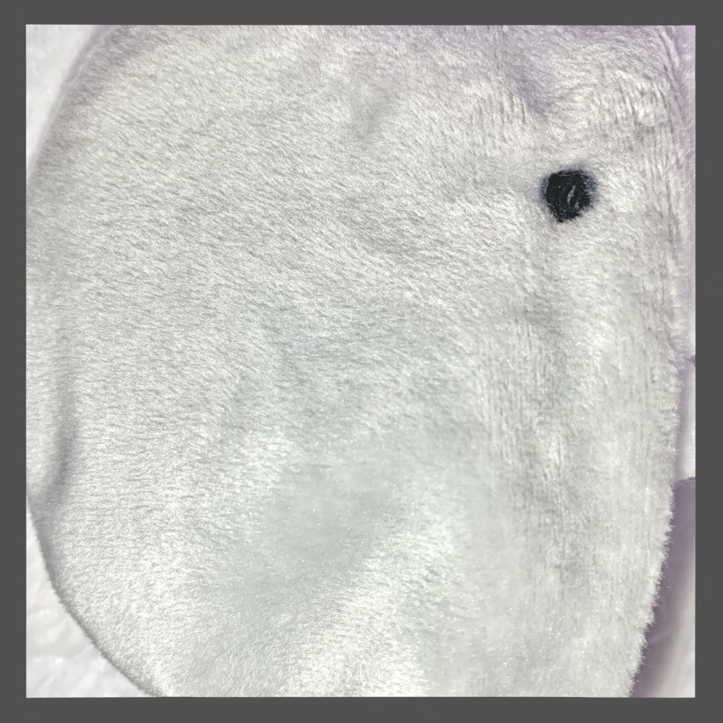 【ぬい服】サメ着ぐるみ