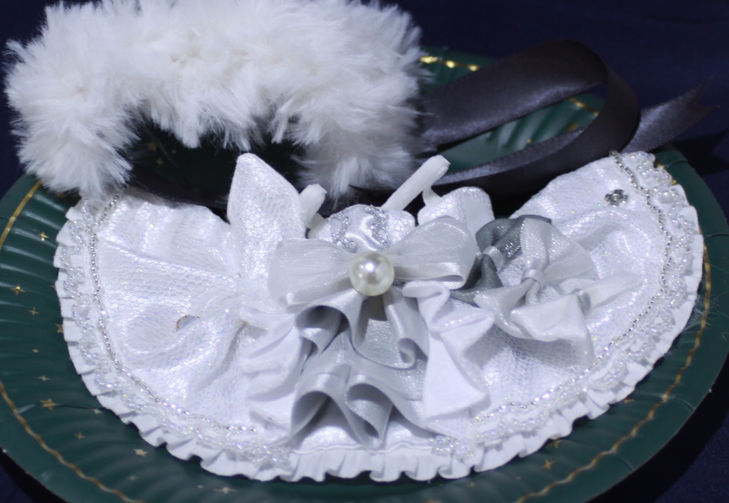 白銀のオーロラドレス