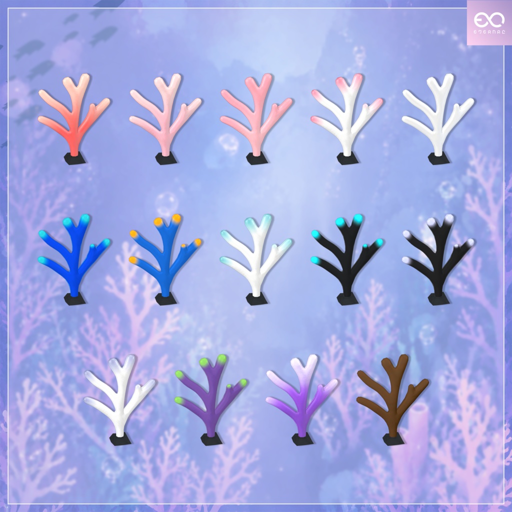 珊瑚角 | Coral Horn
