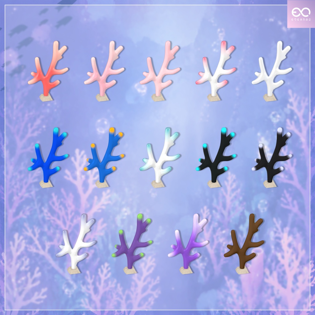 珊瑚角 | Coral Horn
