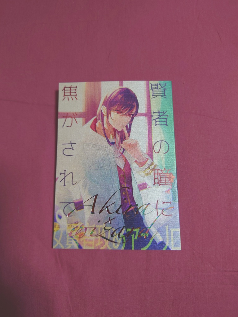 女賢者総攻めアンソロジー 賢者の瞳に焦がされて