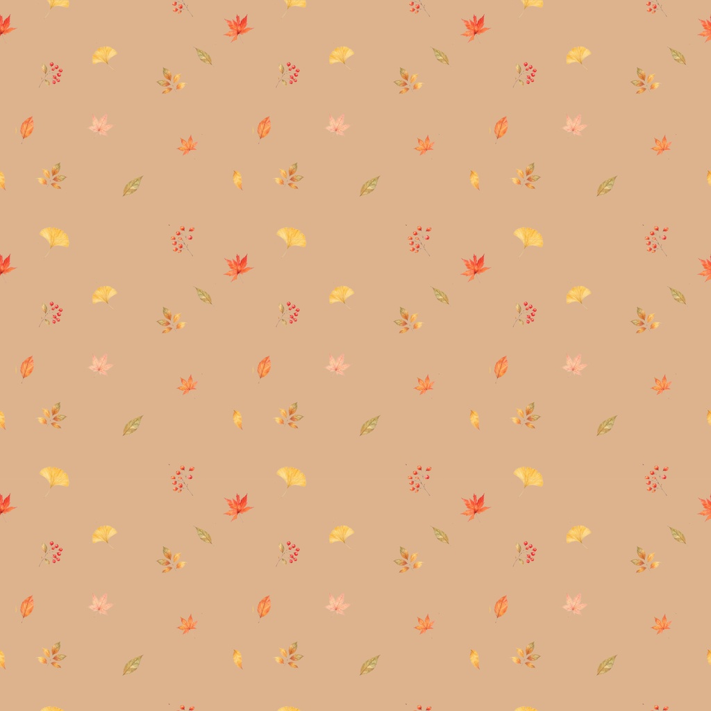 autumn leaves/紅葉 3 color sets