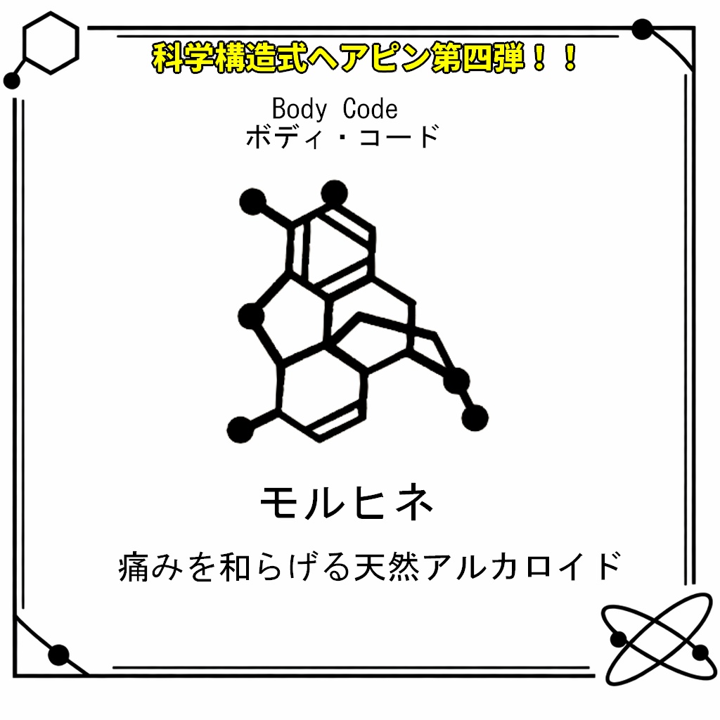 VRC想定・MA対応】科学構造式ヘアピン!!第四弾『Body Code(ボディ・コード)』