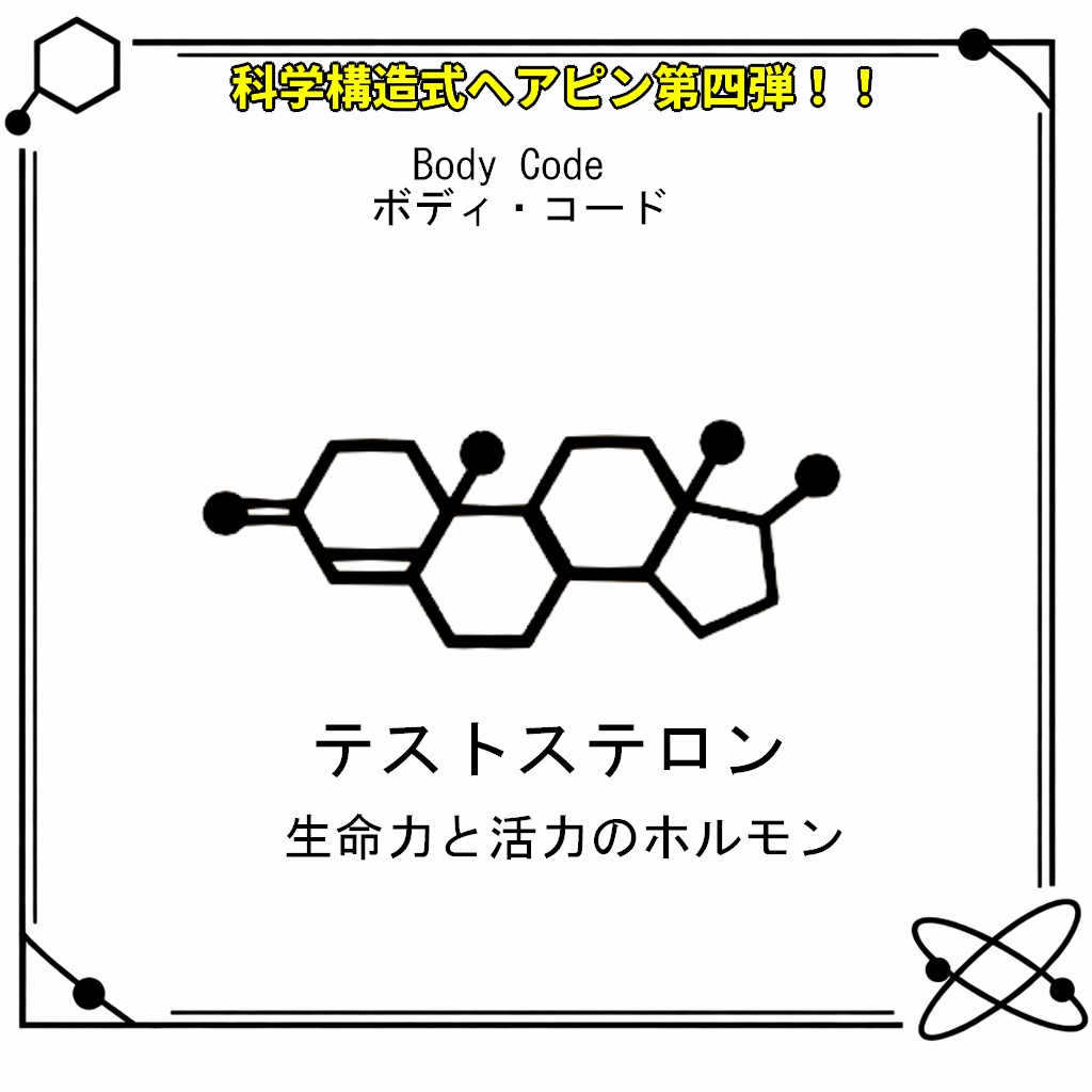 VRC想定・MA対応】科学構造式ヘアピン!!第四弾『Body Code(ボディ・コード)』