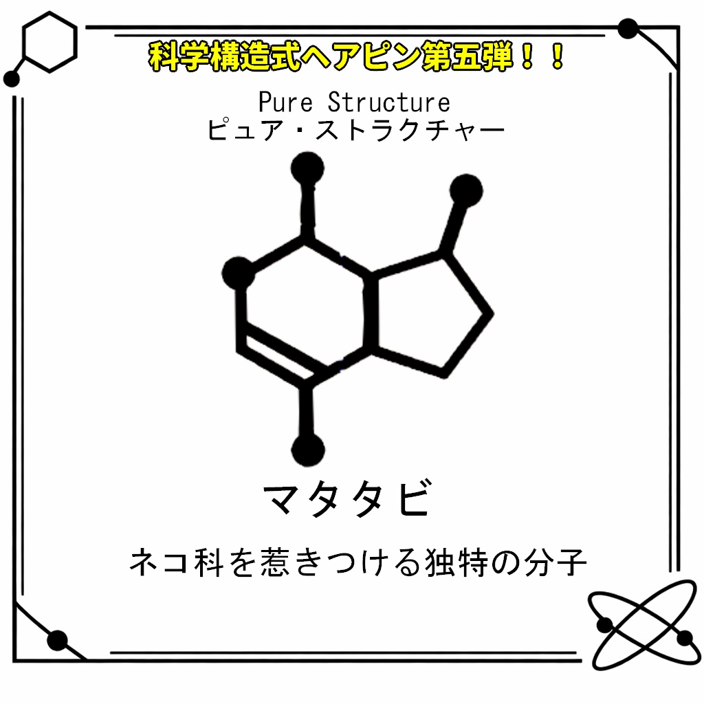 【VRC想定・MA対応】科学構造式ヘアピン!!第五弾『Pure Structure(ピュア・ストラクチャー)』