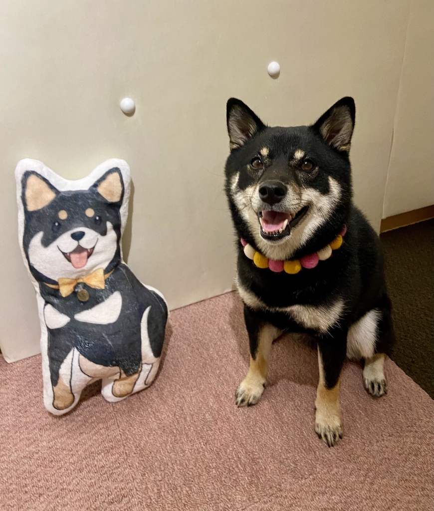 ふかふか♪こむぎクッション(にっこりVer)