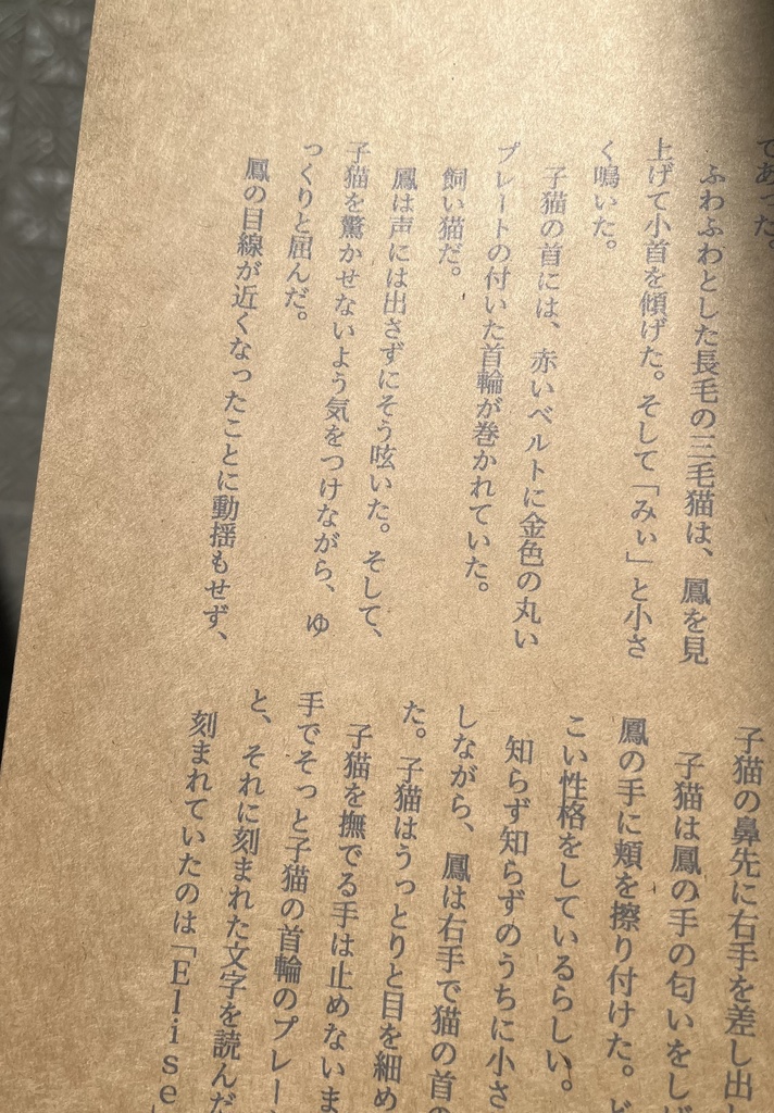 【鳳桜小説本】ドリンクを手に、エールを胸に。
