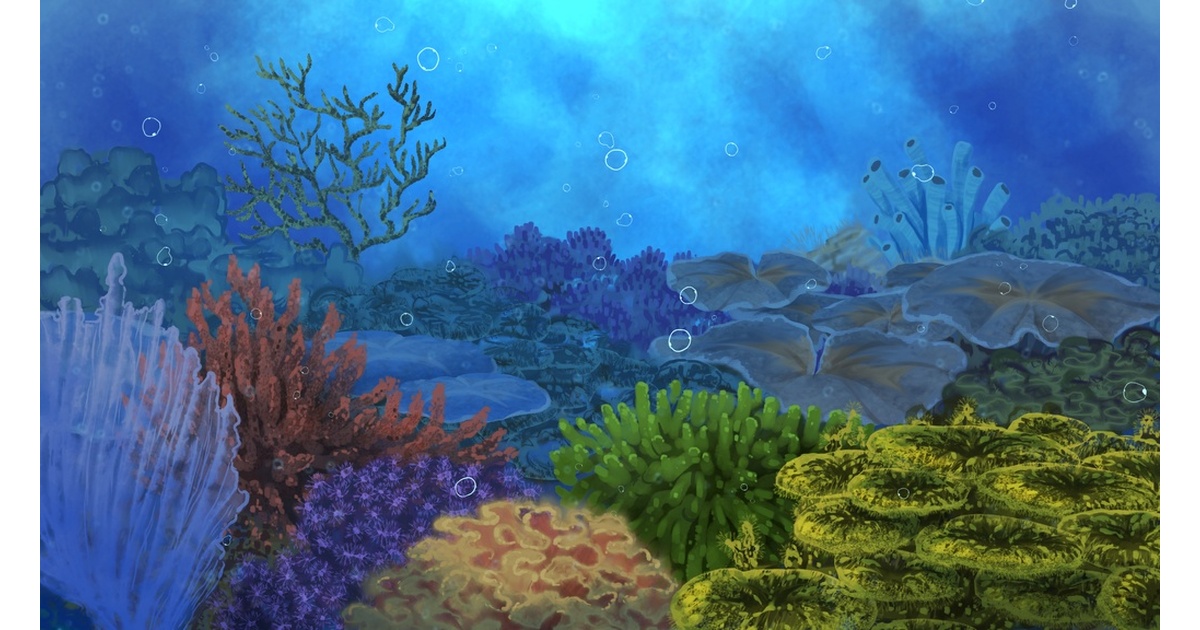 珊瑚礁レイアウト約35×45