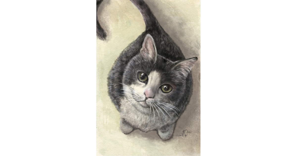 猫絵イラスト1（ハチワレ猫） - 猫絵 - BOOTH