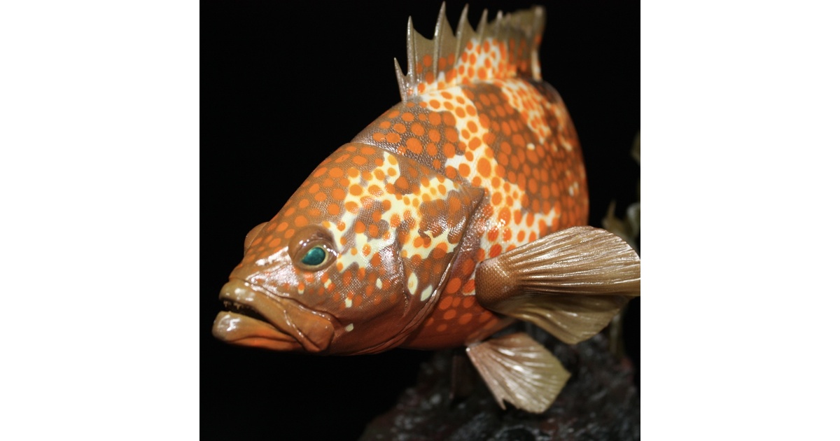 キジハタ　フィギュア　魚寸30cm キジハタ フィギュア 魚寸30cm - メルカリ