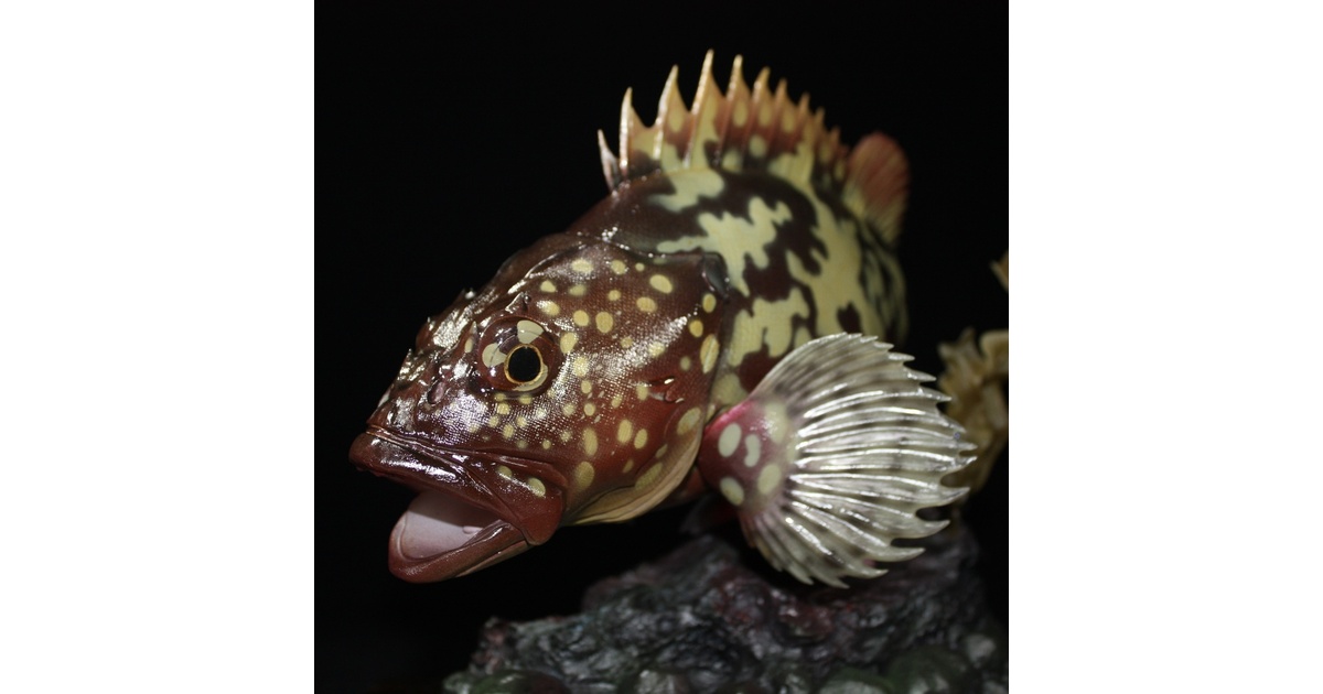 カサゴ フィギュア 魚寸27cm - FFA【Fogures For Anglers】 - BOOTH