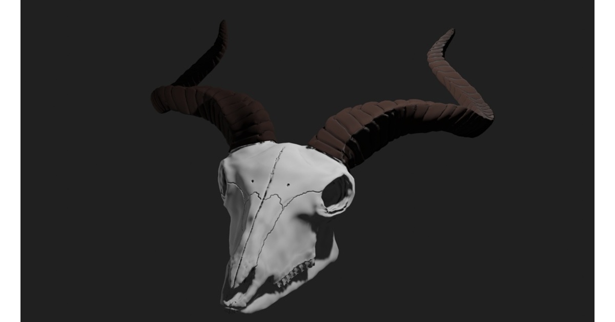 小笠原で拾ったヤギの頭骨 小笠原で拾ったヤギの頭骨 小笠原で拾ったヤギの頭骨