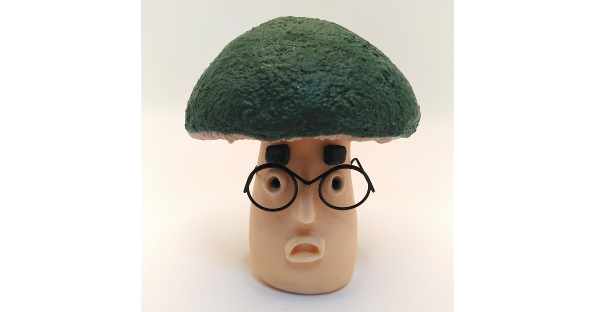 きのこめがね SM-003｜メガネフレーム｜商品｜OPTIQUE PARIS