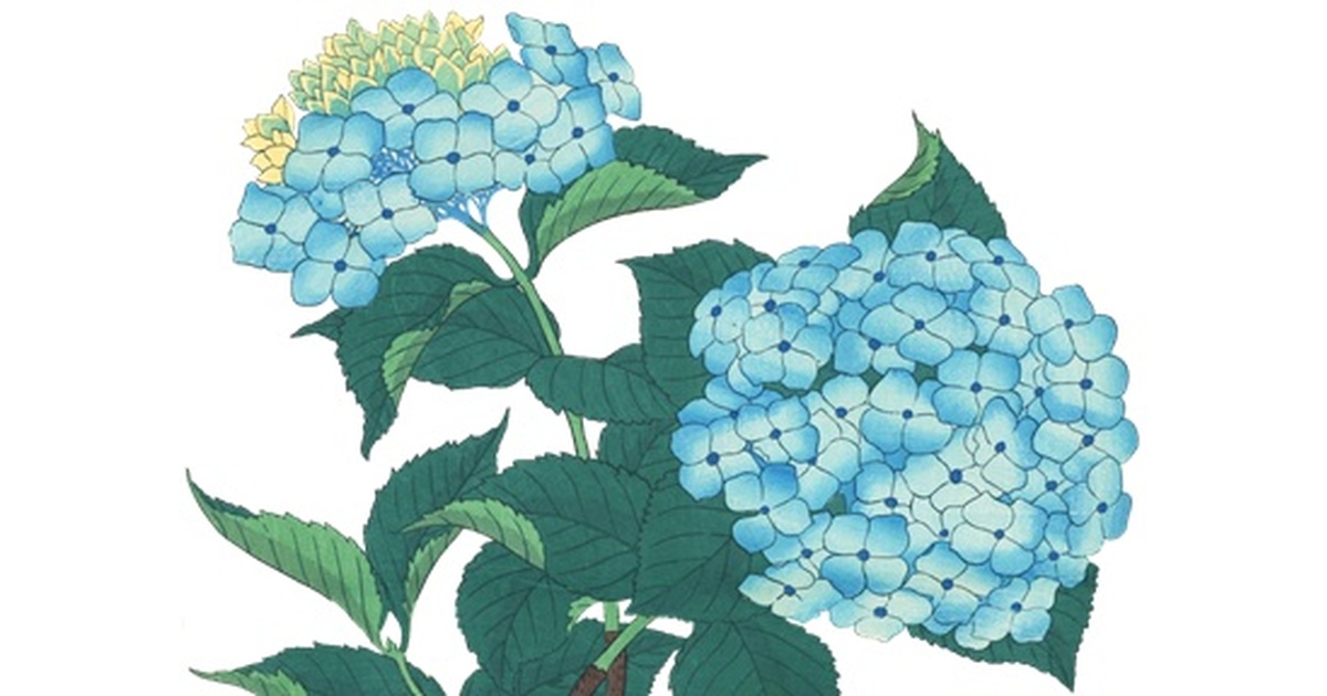 e70510eb-1f9e-424c-bd83-