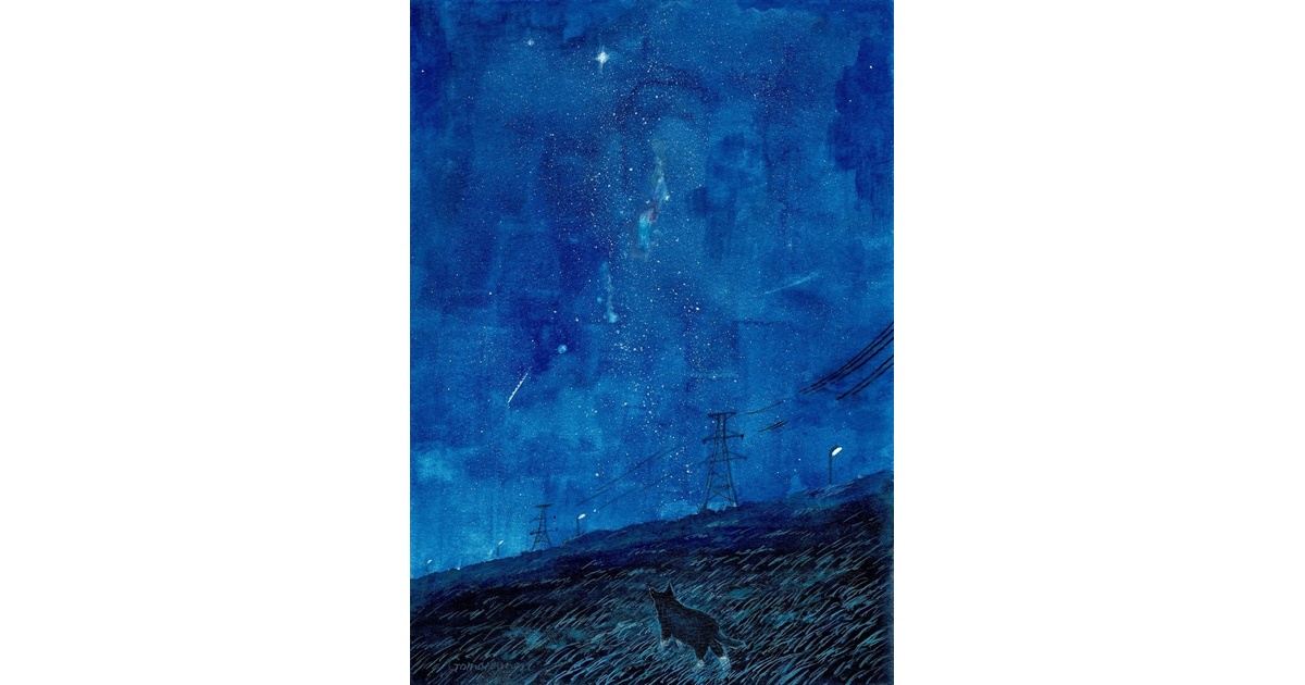 546＊一輪草の小道 水彩画 原画 透明水彩画 - メルカリ