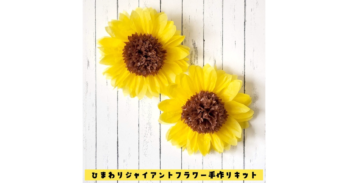 ひまわり栽培キット - SEISHIN PLUS