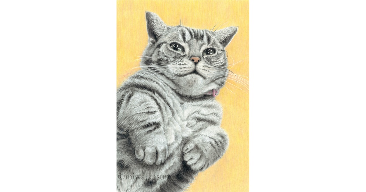 猫のハガキセット アメショ - miwa kasumi - BOOTH