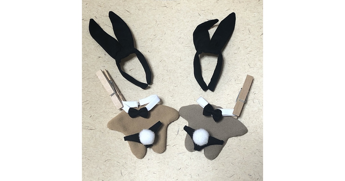 18.テト Twin Bunnies 2セット ぬい服 326ca4a4-16fd-4d55-b72a-