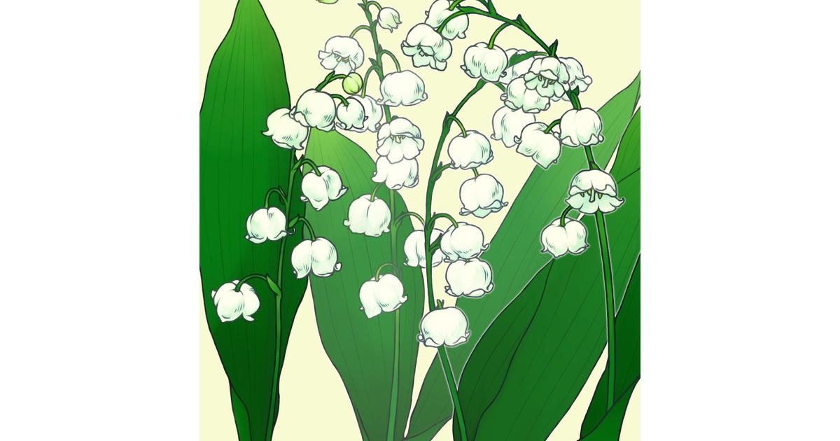 日本画　スズラン　花の絵 日本画 スズラン 花の絵 - メルカリ