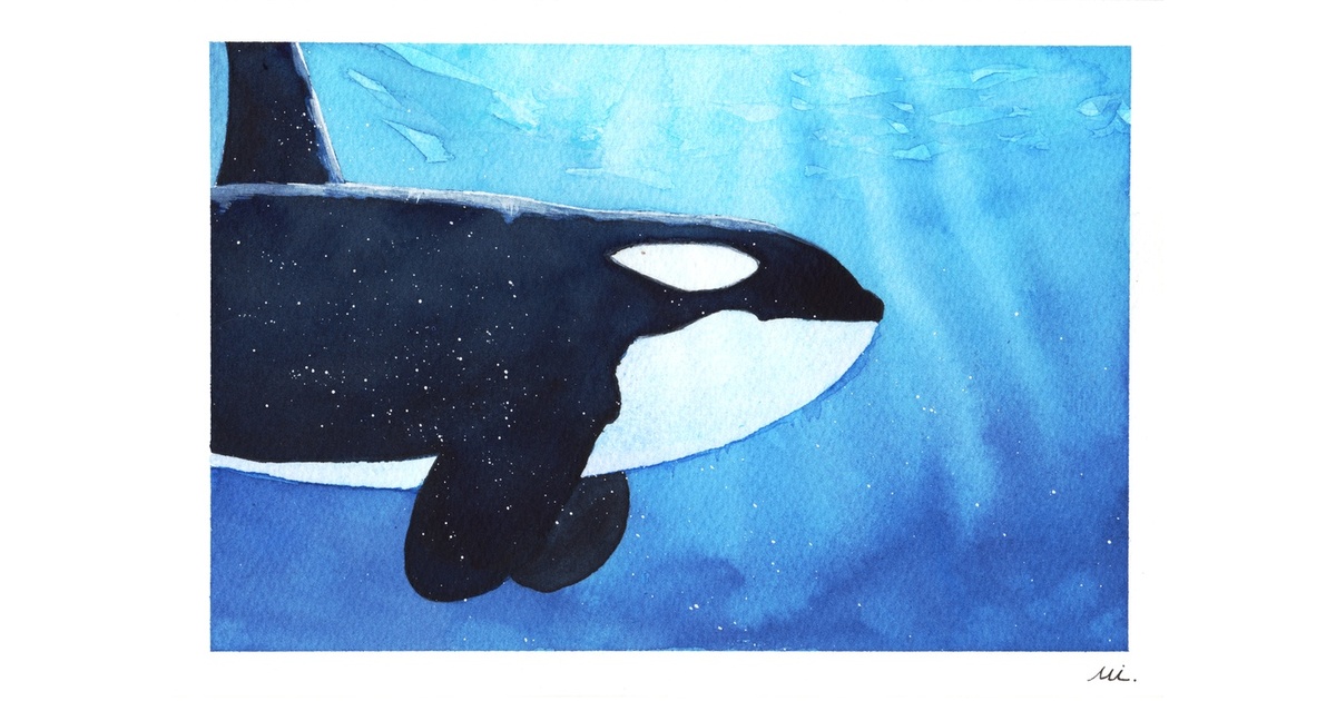 99f62050-b11e-4fcc-90cd-