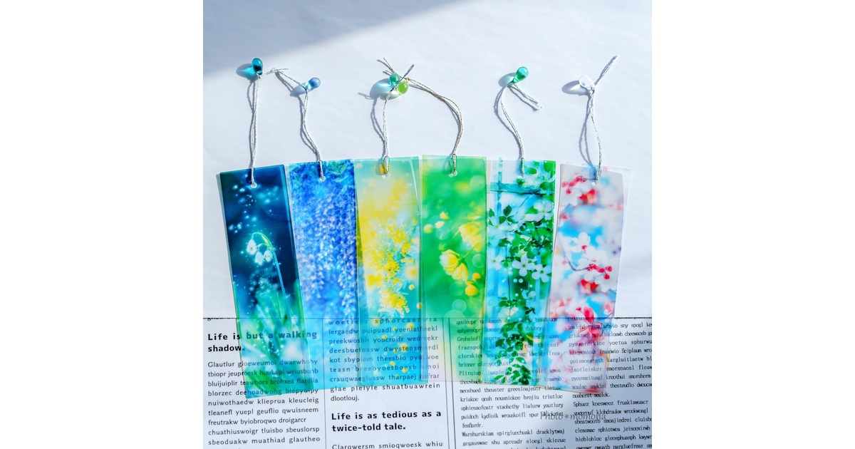 85b76969-f02b-4ece-a25b-