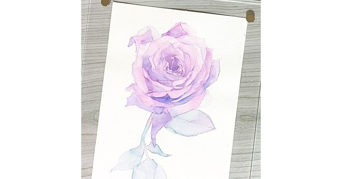 897＊ピンクの五月バラ　水彩画　原画 透明水彩画原画ピンクの薔薇⑤ - メルカリ