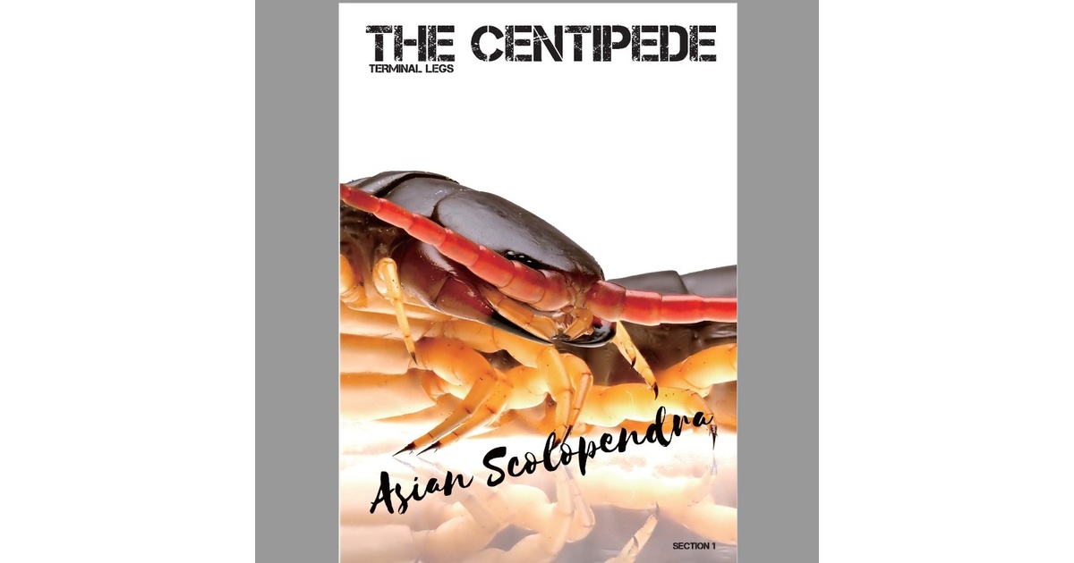 デジタル版 THE CENTIPEDE SECTION1 図鑑編 - Terminal Legs - BOOTH