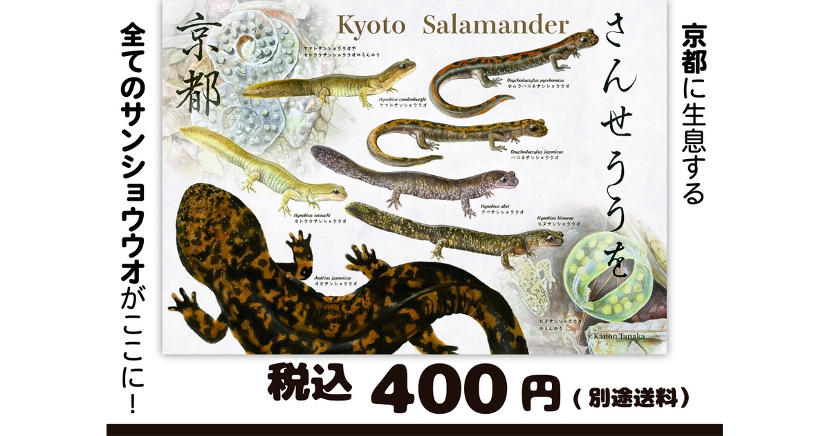 オマケ付き　PSA10 8連番　雲竜赤変図　日英8枚セット　もののけ京都 オマケ付き PSA10 8連番 雲竜赤変図 日英8枚セット もののけ京都