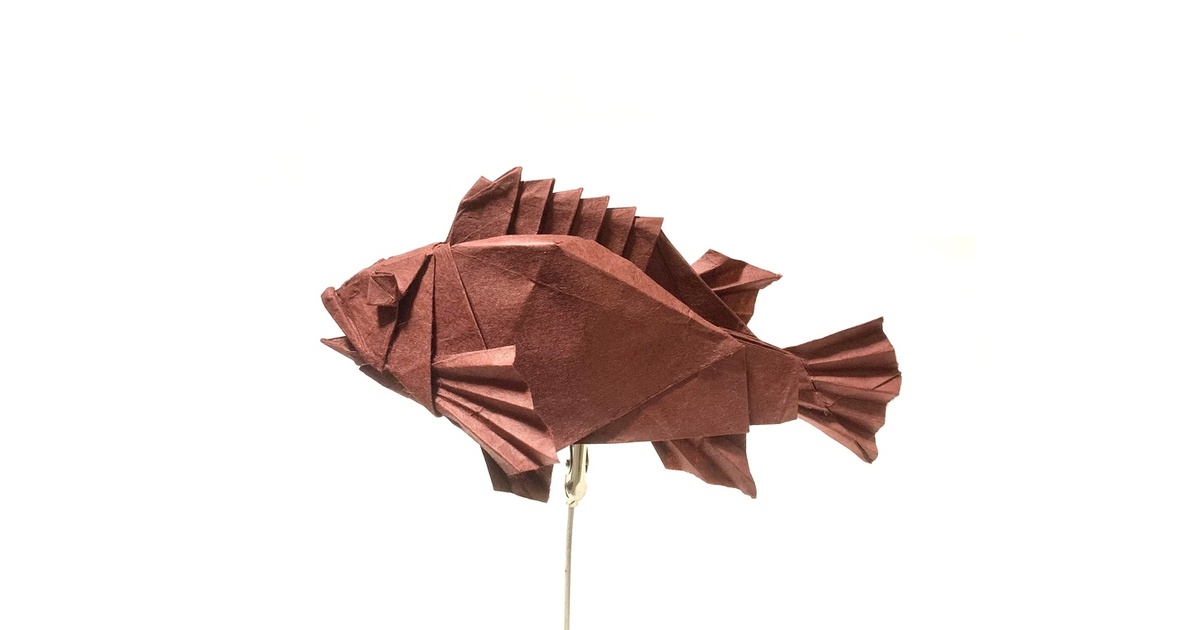 カサゴ（ホゴ）の鉛筆画 カサゴ(2004.01.11) - WEB魚図鑑