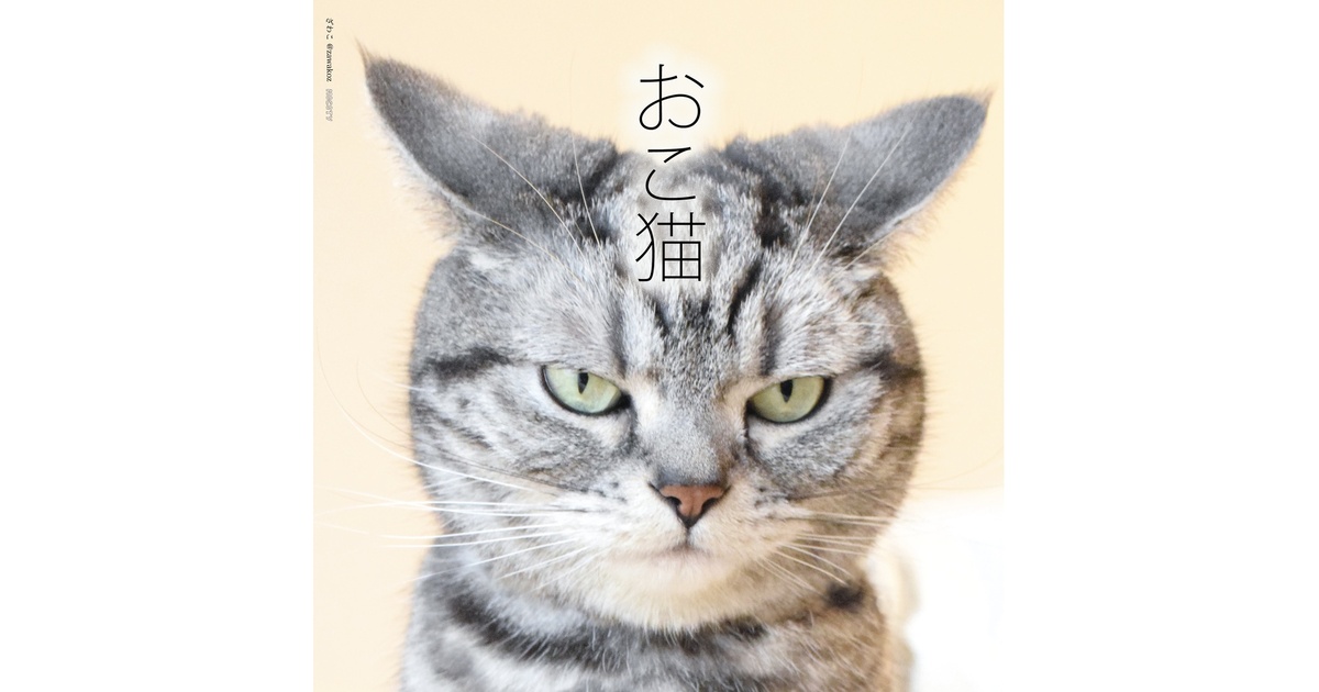 おこ猫 - zawakoz - BOOTH