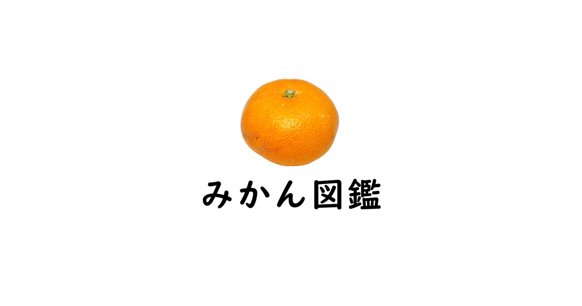 楽天市場】みかん せとか ◯等級 4L〜Lサイズ 5kg 愛媛県産 JA