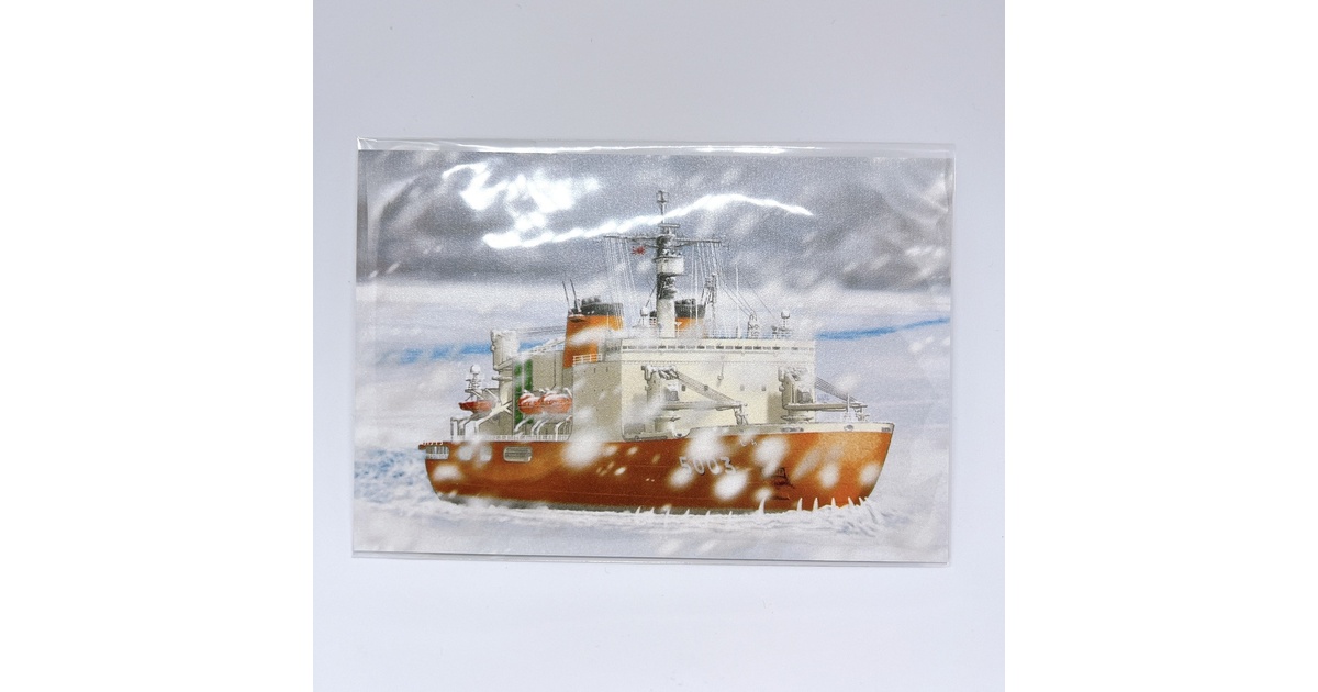 【激レア・新品・匿名配送】沿ドニエストル共和国 ティラスポリ 交通カード ポストカード2種類 - LAB96 - BOOTH