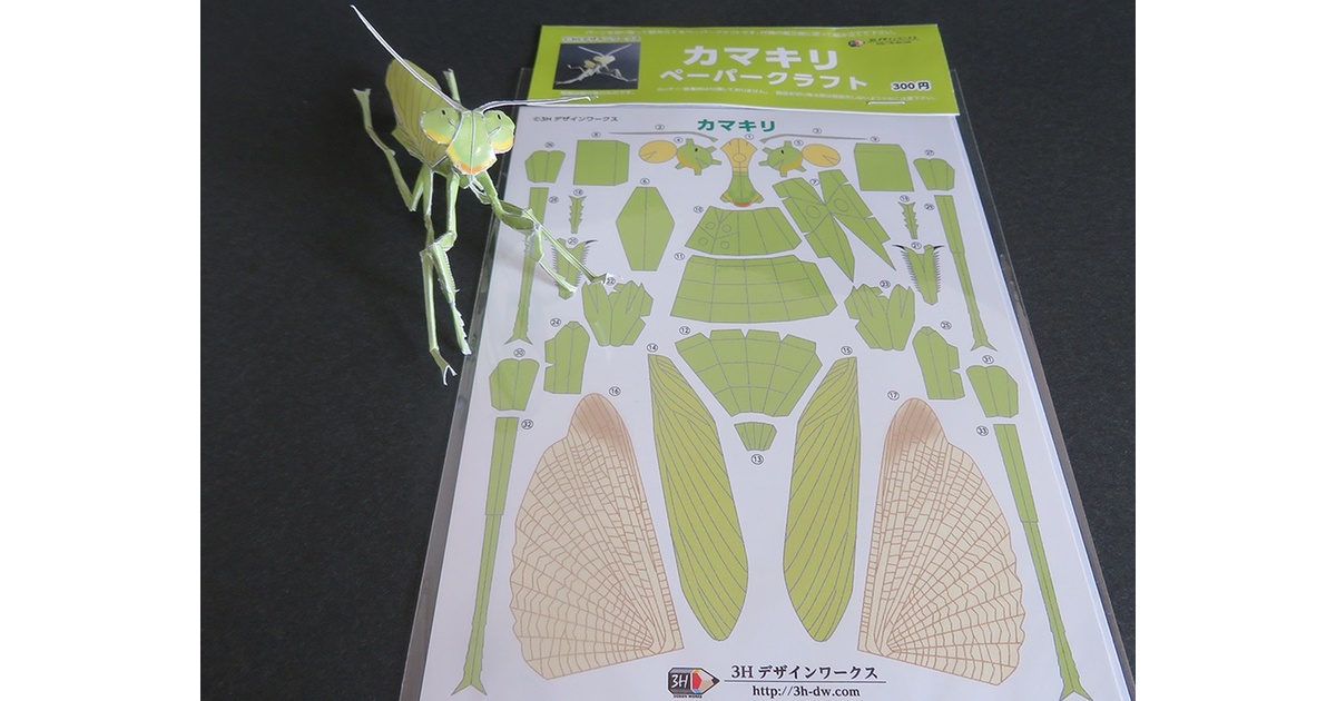 カマキリ図案　珍しい柄　共箱付き カマキリ図案 珍しい柄 共箱付き