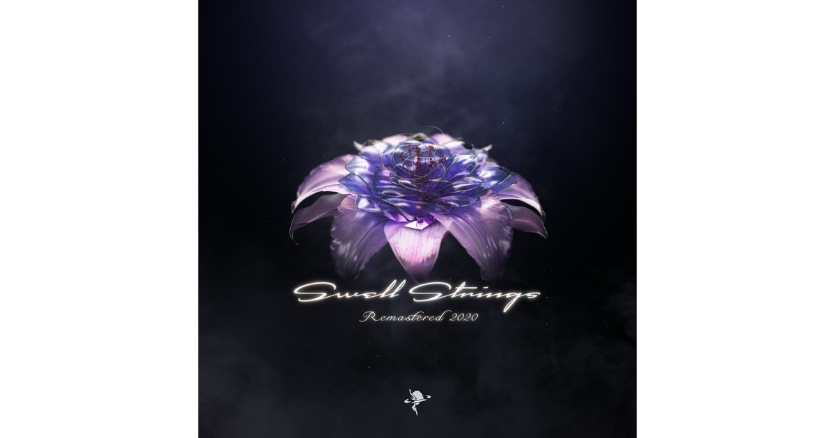 Swell Strings Remasterd 2020 ジャケットサイン入り - onoken