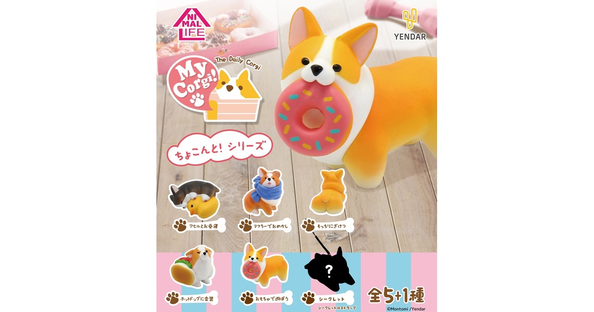全種類セット 新品 コーギー フィギュア ちょこんと！シリーズ