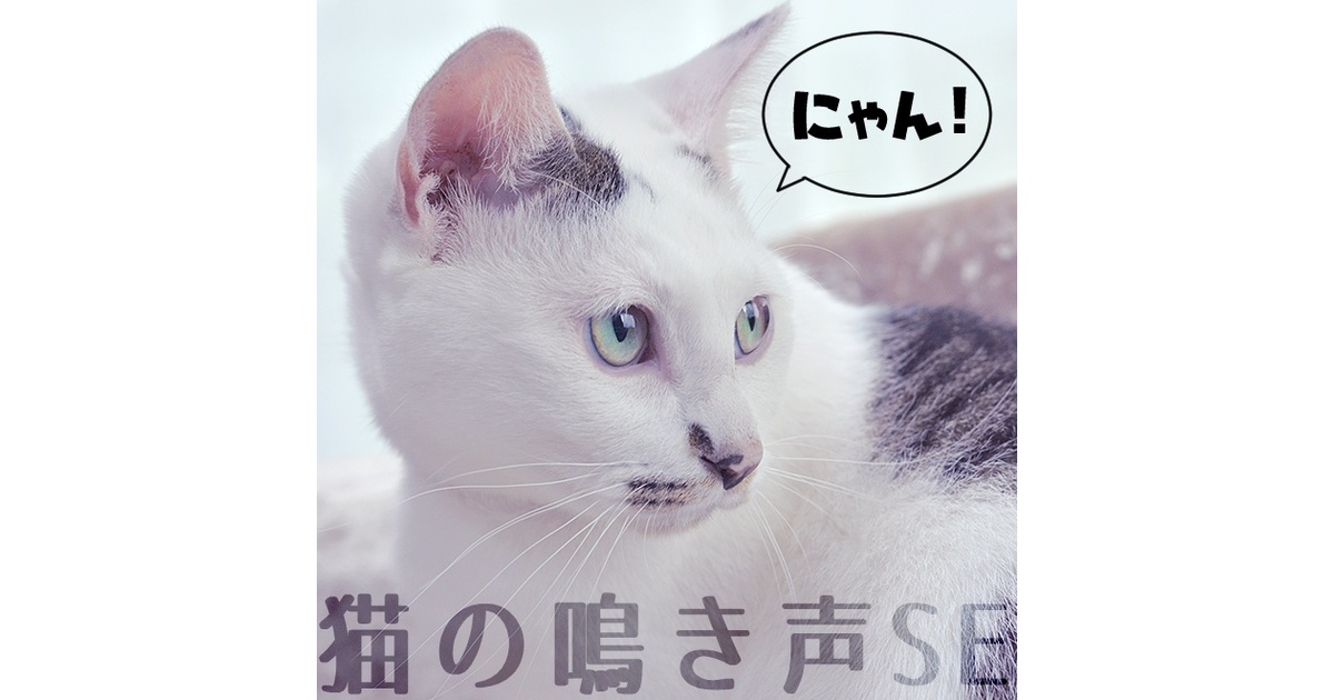 61ca7b32-a884-4884-beaa-