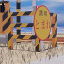 ぬこあいす