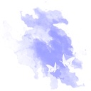 Lupine(ルピナス)