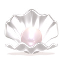 PALM PEARL