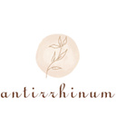 antirrhinum