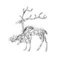 Clothica