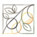 CitrusV8il