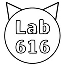 lab_616